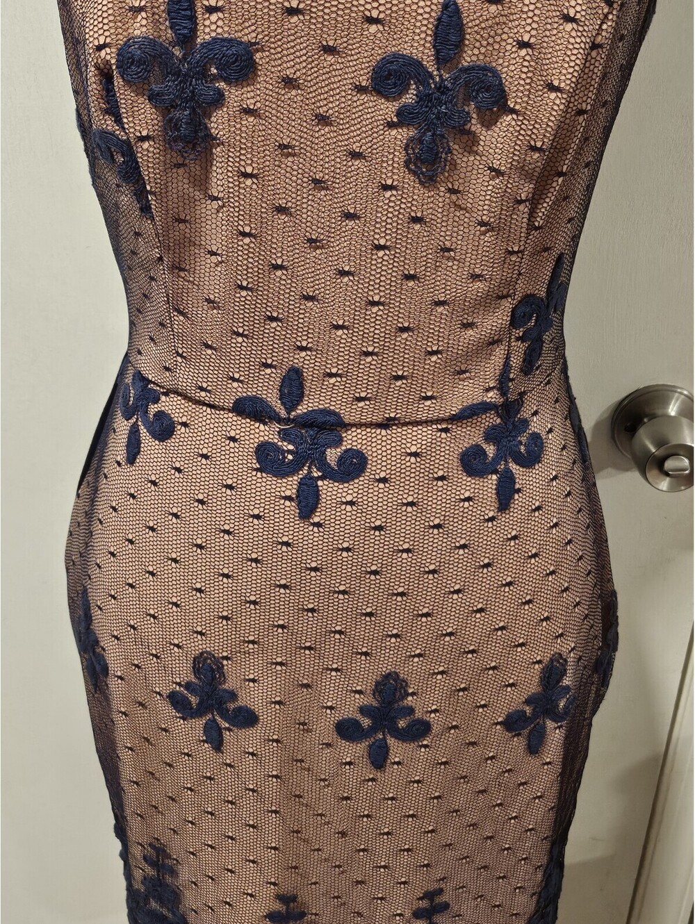 Eva Franco Size 6 Fleur De Lis Afton Dress Blue Lace Lined - Picture 5 of 11